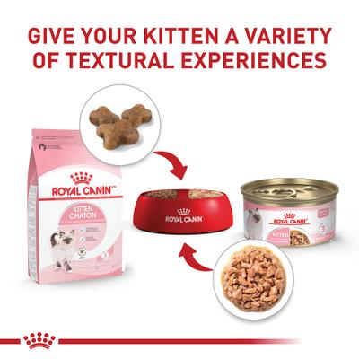 Show full view: Royal Canin Feline Health Nutrition Kitten Thin Slices in Gravy Wet Cat Food, 3-oz, case of 6 slide 7 of 14