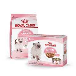 Royal Canin Feline Health Nutrition Thin Slices in Gravy Wet Kitten Food + Chicken Kitten Dry Cat Food