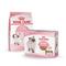 Show in main carousel: Royal Canin Feline Health Nutrition Thin Slices in Gravy Wet Kitten Food + Chicken Kitten Dry Cat Food slide 1 of 8