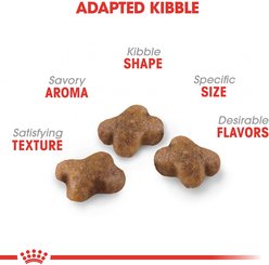 Royal Canin Feline Health Nutrition Thin Slices in Gravy Wet Kitten Food + Chicken Kitten Dry Cat Food slide 2 of 7