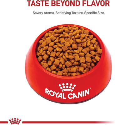 Show full view: Royal Canin Feline Health Nutrition Thin Slices in Gravy Wet Kitten Food + Chicken Kitten Dry Cat Food slide 4 of 8