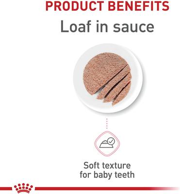 Show full view: Royal Canin Feline Health Nutrition Thin Slices in Gravy Wet Kitten Food + Chicken Kitten Dry Cat Food slide 7 of 8