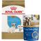 Show in main carousel: Royal Canin French Bulldog Puppy Dry Food + N-Bone Puppy Teething Ring Chicken Flavor Dog Treats slide 1 of 9