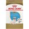 Show in main carousel: Royal Canin French Bulldog Puppy Dry Food + N-Bone Puppy Teething Ring Chicken Flavor Dog Treats slide 2 of 9