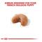 Show in main carousel: Royal Canin French Bulldog Puppy Dry Food + N-Bone Puppy Teething Ring Chicken Flavor Dog Treats slide 4 of 9