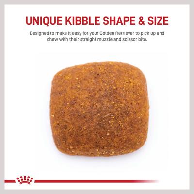 Show full view: Royal Canin Golden Retriever Adult Dry Food + Greenies Large Dental Dog Treats slide 8 of 10