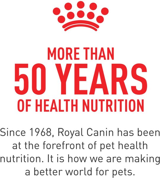 Royal Canin Maine Coon Adult Dry Cat Food
