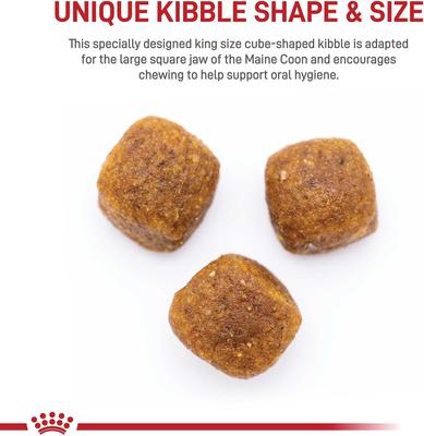 Royal Canin Feline Breed Nutrition Maine Coon Adult Dry Cat Food