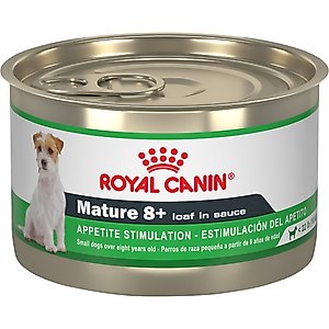 Royal Canin Canine Health Nutrition Mature 8+ Loaf In Sauce Wet Dog Food, 5.2-oz can, case of 24