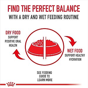 Royal Canin Mature Adult in Gel Canned Dog Food, 13.5-oz, case of 12