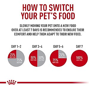 Royal Canin Mature Adult in Gel Canned Dog Food, 13.5-oz, case of 12