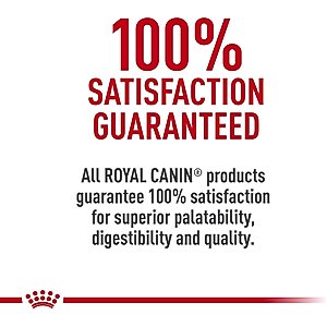 Royal Canin Mature Adult in Gel Canned Dog Food, 13.5-oz, case of 12