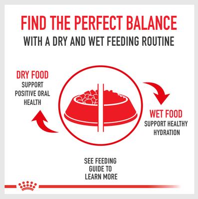 Show full view: Royal Canin Canine Health Nutrition Puppy Canned Dog Food, 13.5-oz, 12 count slide 7 of 11