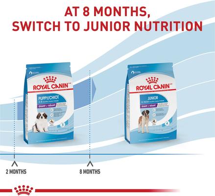 Show full view: Royal Canin Size Health Nutrition Giant Puppy Dry Dog Food, 30-lb bag slide 7 of 12