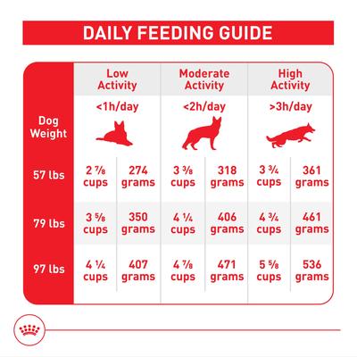 Show full view: Royal Canin Size Health Nutrition Large Adult Dry Dog Food, 4-lb bag slide 7 of 12
