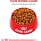 Show in main carousel: Royal Canin Size Health Nutrition Large Adult Dry Dog Food, 6-lb bag slide 3 of 13