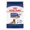 Show in main carousel: Royal Canin Size Health Nutrition Large Aging 8+ Dry Dog Food, 30-lb bag slide 1 of 12