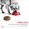 Show in main carousel: Royal Canin Size Health Nutrition Large Aging 8+ Dry Dog Food, 30-lb bag slide 4 of 12