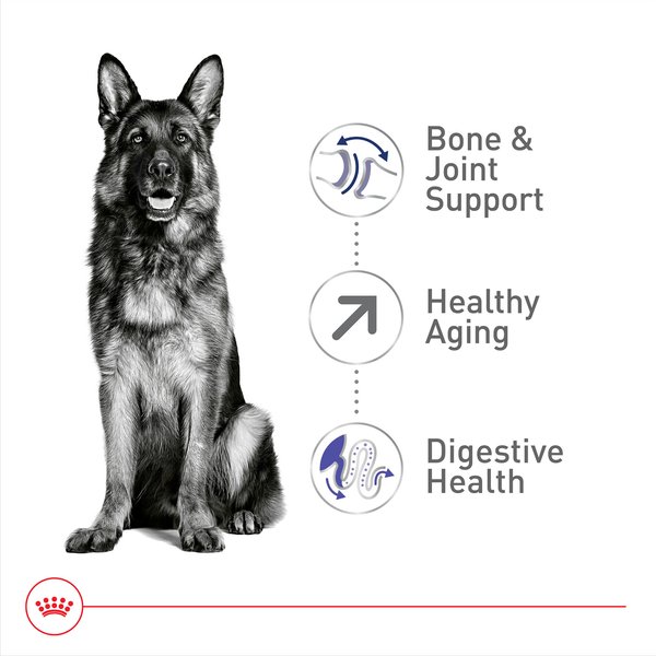 Royal Canin Size Health Nutrition Large Aging 8+ Dry Dog Food