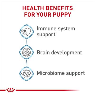 Show full view: Royal Canin Size Health Nutrition Large Puppy Chunks in Gravy Dog Food Pouch, 4.9-oz, case of 10 slide 5 of 11
