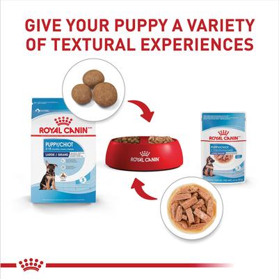 Show full view: Royal Canin Size Health Nutrition Large Puppy Chunks in Gravy Dog Food Pouch, 4.9-oz, case of 10 slide 6 of 11
