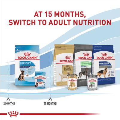 Show full view: Royal Canin Size Health Nutrition Large Puppy Chunks in Gravy Dog Food Pouch, 4.9-oz, case of 10 slide 7 of 11