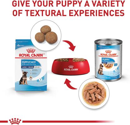 Show full view: Royal Canin Size Health Nutrition Large Puppy Dry Dog Food, 17-lb bag slide 6 of 12