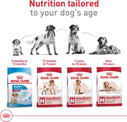 Show full view: Royal Canin Size Health Nutrition Large Puppy Dry Dog Food, 40-lb bag slide 6 of 12