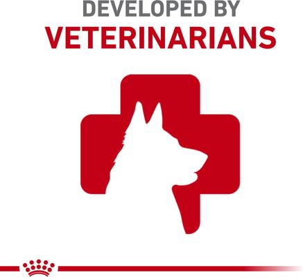 Show full view: Royal Canin Size Health Nutrition Large Puppy Dry Dog Food, 4-lb bag slide 9 of 12