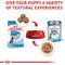 Show in main carousel: Royal Canin Size Health Nutrition Large Puppy Dry Dog Food, 4-lb bag slide 6 of 12