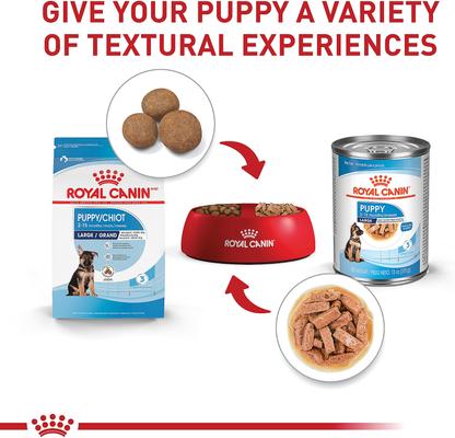 Show full view: Royal Canin Size Health Nutrition Large Puppy Dry Dog Food, 4-lb bag slide 6 of 12