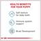Show in main carousel: Royal Canin Size Health Nutrition Large Puppy Thin Slices in Gravy Wet Dog Food, 13-oz can, case of 6 slide 5 of 12