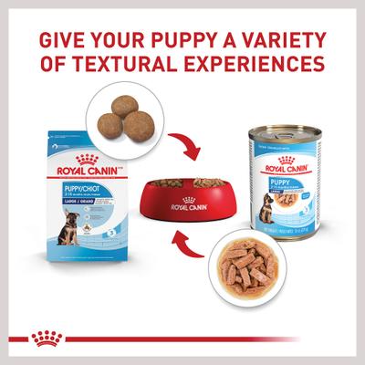 Show full view: Royal Canin Size Health Nutrition Large Puppy Thin Slices in Gravy Wet Dog Food, 13-oz can, case of 6 slide 6 of 12