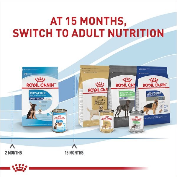Royal Canin Size Health Nutrition Large Puppy Thin Slices in Gravy Wet Dog Food