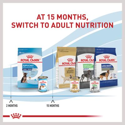 Show full view: Royal Canin Size Health Nutrition Large Puppy Thin Slices in Gravy Wet Dog Food, 13-oz can, case of 6 slide 7 of 12