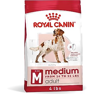 Royal Canin Size Health Nutrition Medium Adult Dry Dog Food, 4-lb bag