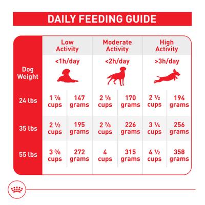 Show full view: Royal Canin Size Health Nutrition Medium Aging 10+ Dry Dog Food, 30-lb bag slide 8 of 12