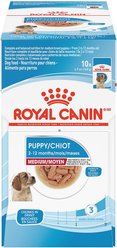 Royal Canin Size Health Nutrition Medium Puppy Chunks in Gravy Dog Food Pouch, 4.9-oz, case of 10