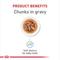Show in main carousel: Royal Canin Size Health Nutrition Medium Puppy Chunks in Gravy Dog Food Pouch, 4.9-oz, case of 10 slide 5 of 10