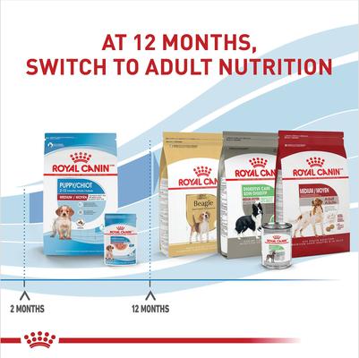 Show full view: Royal Canin Size Health Nutrition Medium Puppy Chunks in Gravy Dog Food Pouch, 4.9-oz, case of 10 slide 8 of 10