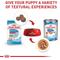 Show in main carousel: Royal Canin Size Health Nutrition Medium Puppy Dry Dog Food, 17-lb bag slide 6 of 12