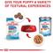 Show in main carousel: Royal Canin Size Health Nutrition Medium Puppy Dry Dog Food, 4-lb bag slide 6 of 12
