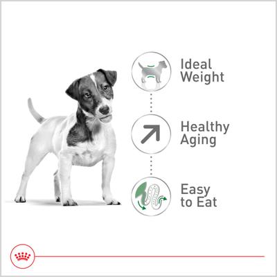 Show full view: Royal Canin Size Health Nutrition Small Aging 12+ Dry Dog Food, 12-lb bag slide 5 of 13