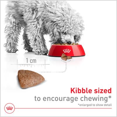 Show full view: Royal Canin Size Health Nutrition Small Indoor Adult Dry Dog Food, 2.5-lb bag slide 4 of 13