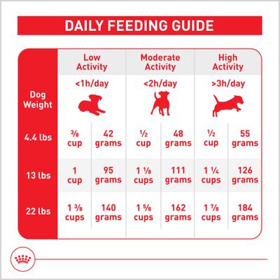 Show full view: Royal Canin Size Health Nutrition Small Indoor Adult Dry Dog Food, 2.5-lb bag slide 10 of 13