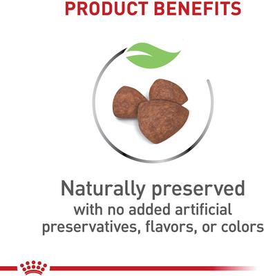 Show full view: Royal Canin Size Health Nutrition Small Indoor Puppy Dry Dog Food, 2.5-lb bag slide 4 of 12