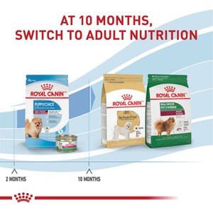 Royal Canin Size Health Nutrition Small Indoor Puppy Dry Dog Food, 2.5-lb bag