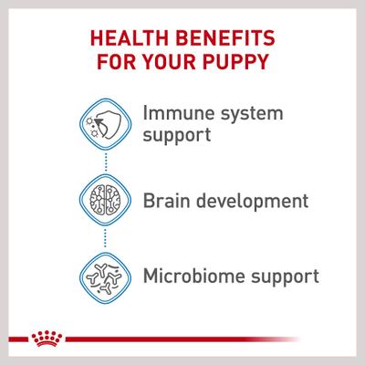 Show full view: Royal Canin Size Health Nutrition Small Puppy Chunks in Gravy Dog Food Pouch, 3-oz, case of 12 slide 5 of 13