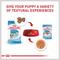 Show in main carousel: Royal Canin Size Health Nutrition Small Puppy Chunks in Gravy Dog Food Pouch, 3-oz, case of 12 slide 6 of 13
