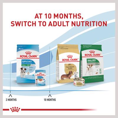 Show full view: Royal Canin Size Health Nutrition Small Puppy Chunks in Gravy Dog Food Pouch, 3-oz, case of 12 slide 7 of 13